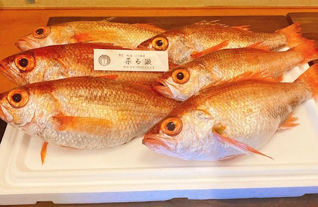 新鮮な魚